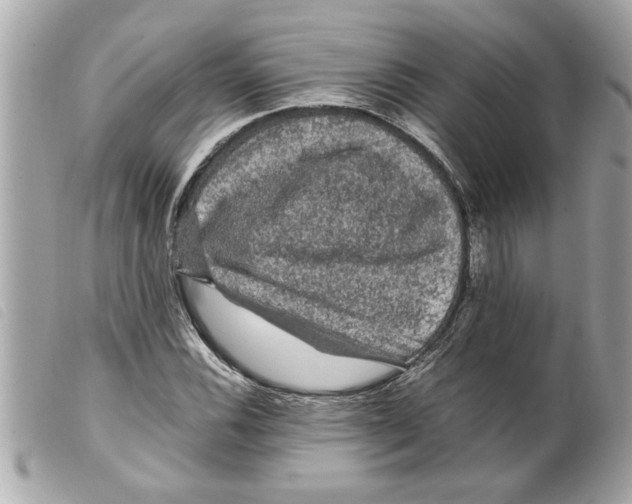 X0000099291116200805301106