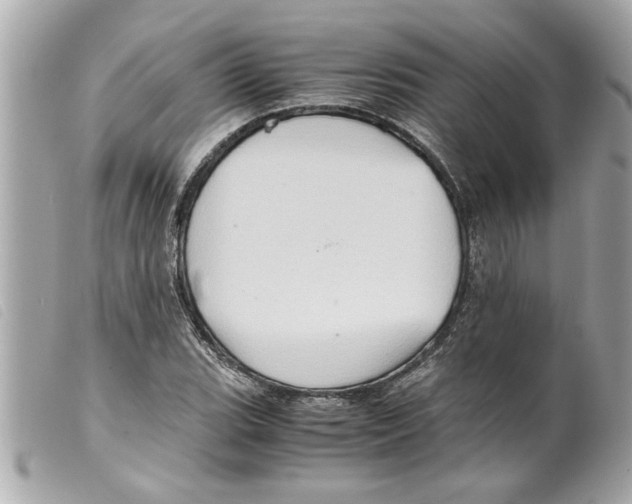 X0000099291119200805301106