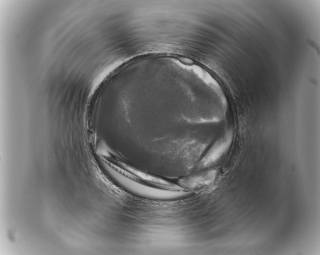 X0000099291120200805301106