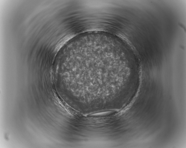X0000099291121200805301106