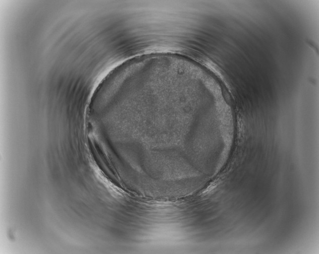 X0000099291124200805301106