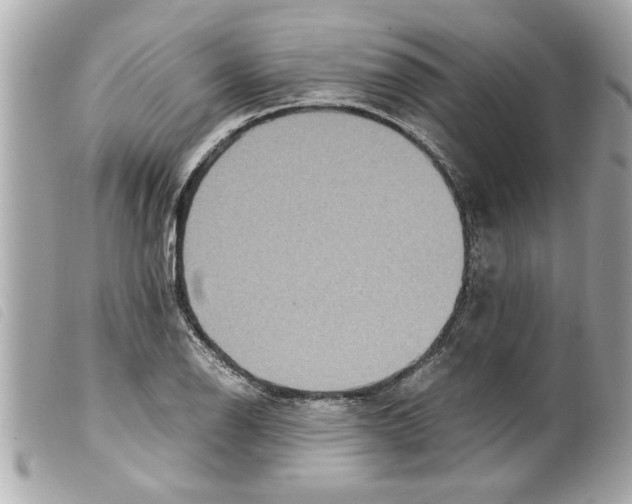 X0000099291126200805301106