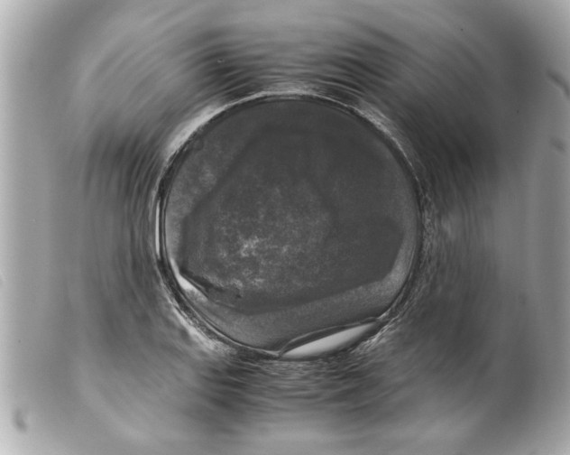 X0000099291127200805301106