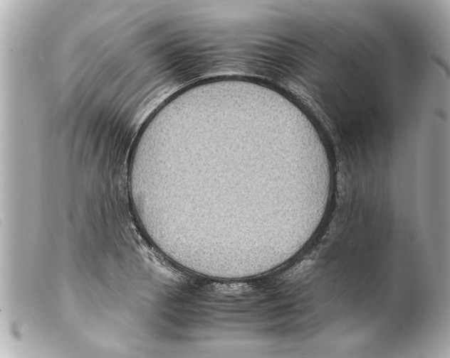 X0000099291129200805301106