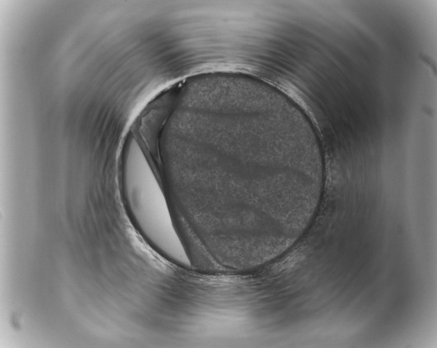 X0000099291132200805301106