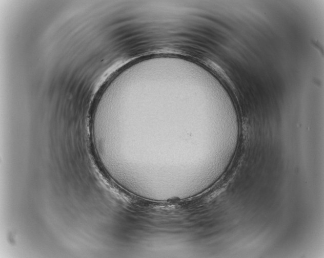 X0000099291133200805301106