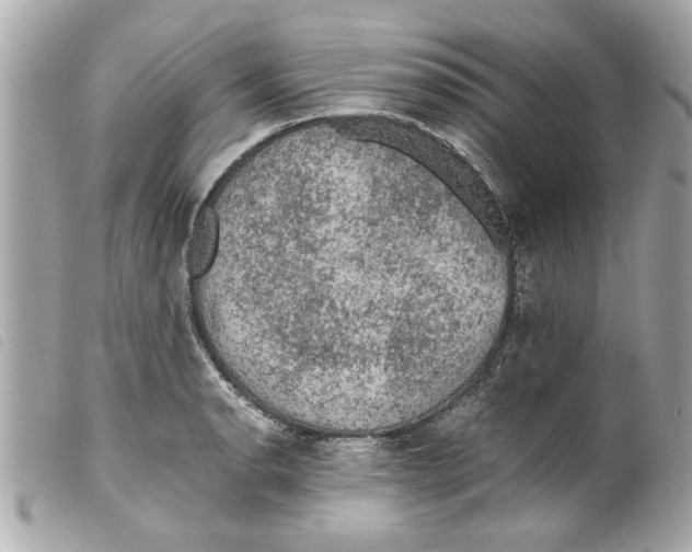X0000099291134200805301106