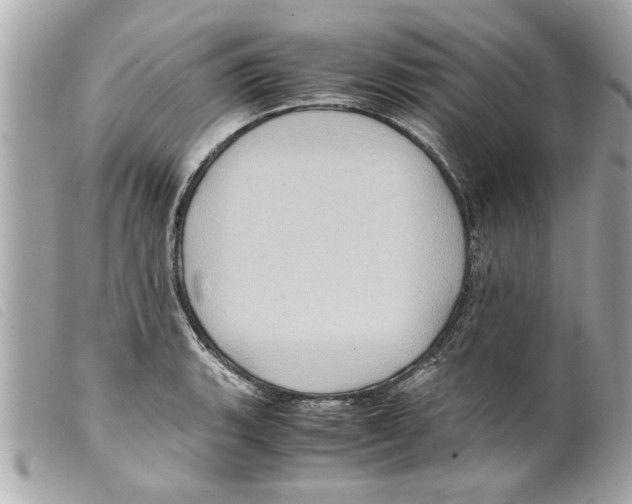 X0000099291135200805301106