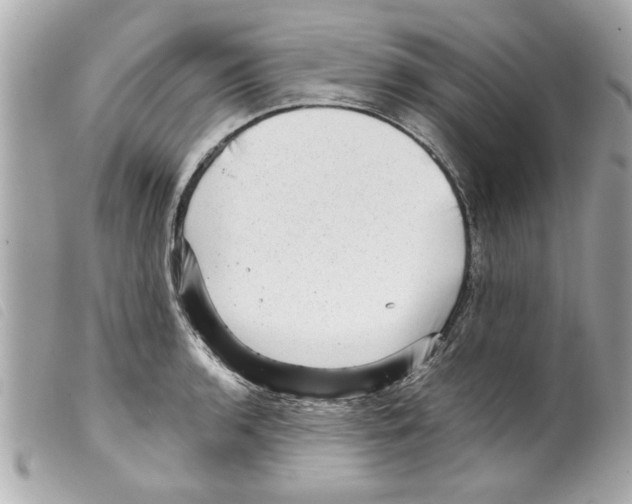 X0000099291136200805301106