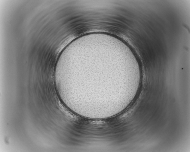 X0000099291137200805301106