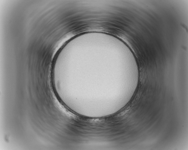 X0000099291139200805301106