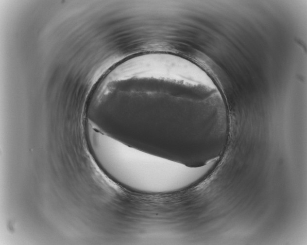 X0000099291141200805301106
