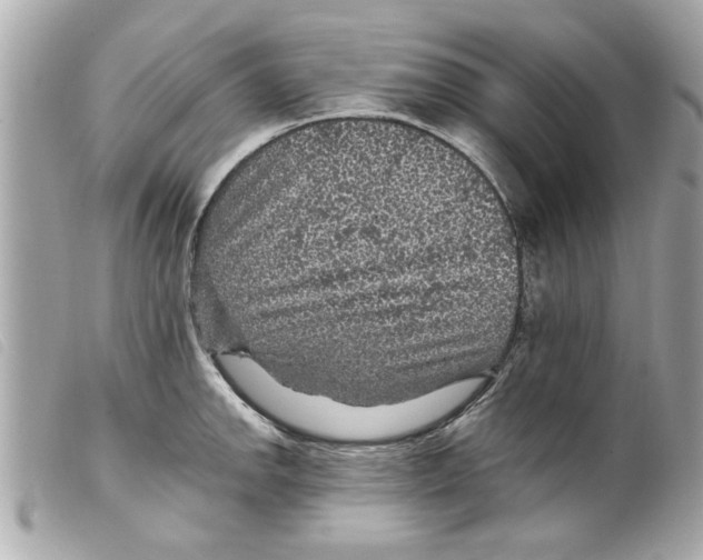 X0000099291142200805301106
