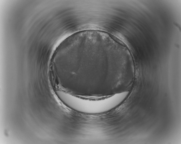 X0000099291144200805301106