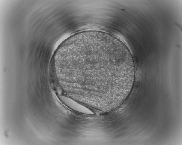 X0000099291146200805301106