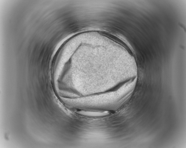 X0000099291148200805301106