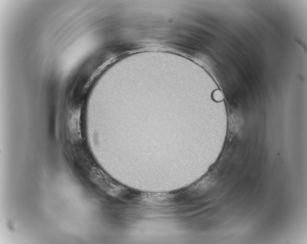 X0000099291150200805301106