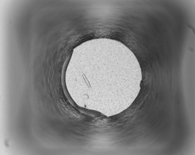 X0000099291153200805301105
