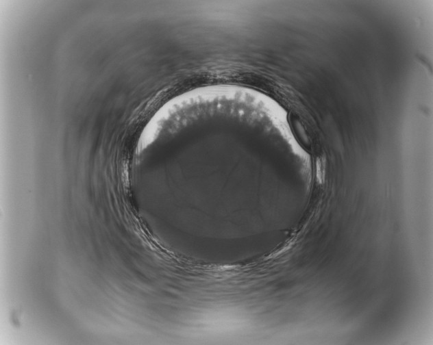 X0000099291155200805301105