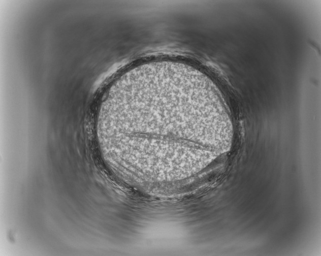 X0000099291159200805301105
