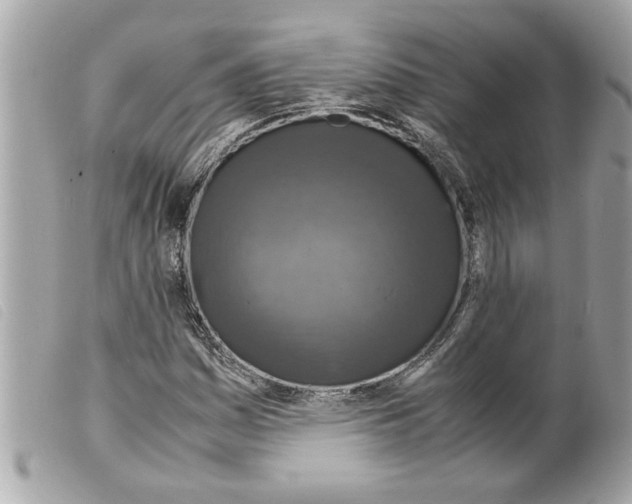 X0000099291161200805301105
