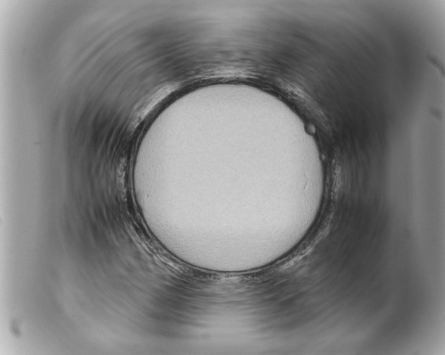 X0000099291162200805301105