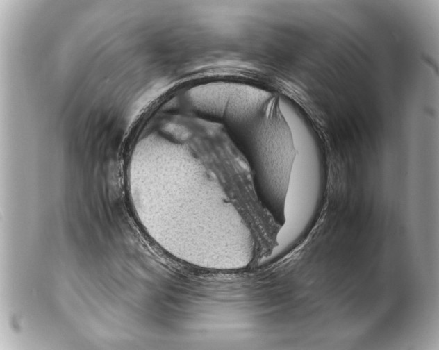 X0000099291164200805301105