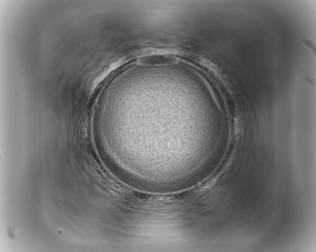 X0000099291165200805301105