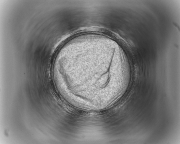 X0000099291166200805301105