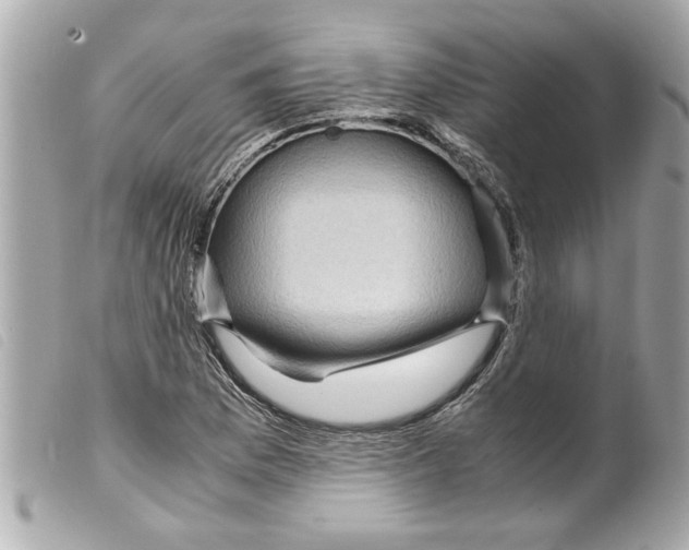 X0000099291169200805301105
