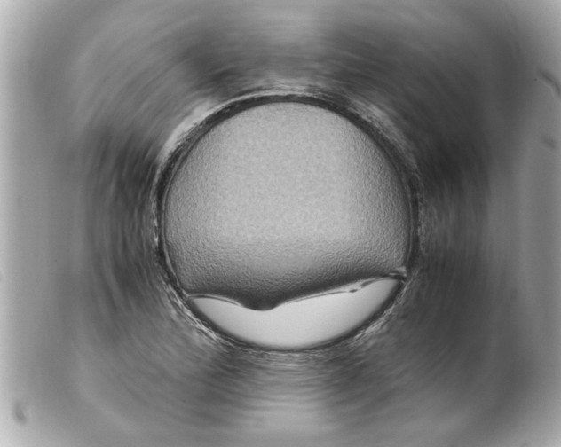 X0000099291172200805301105
