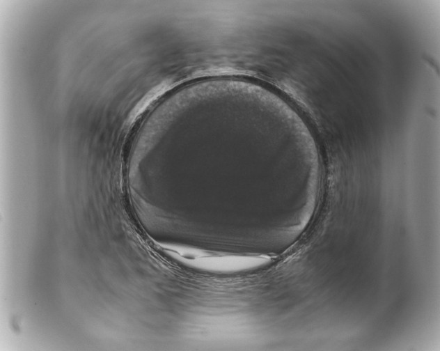 X0000099291173200805301105