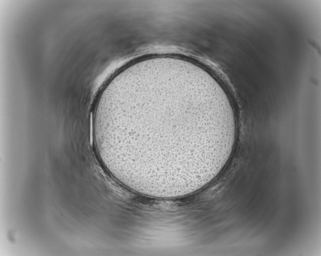 X0000099291175200805301105