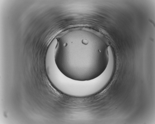 X0000099291177200805301105