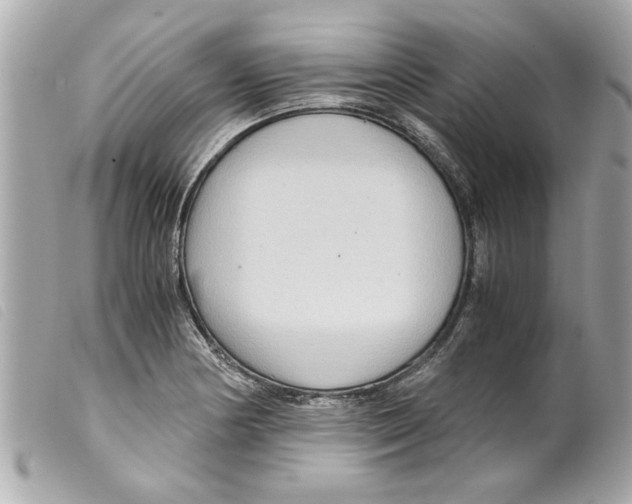 X0000099291178200805301105