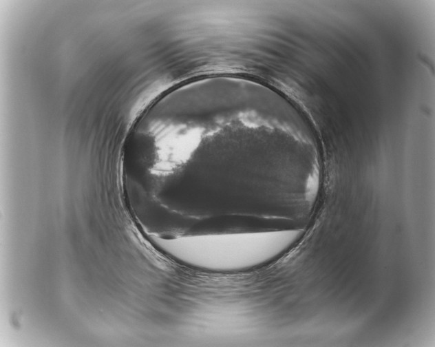 X0000099291179200805301105