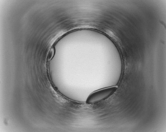 X0000099291181200805301105