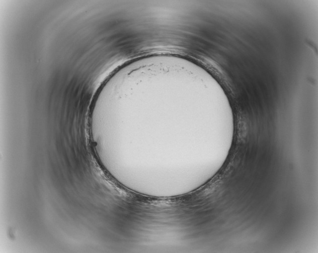 X0000099291182200805301105