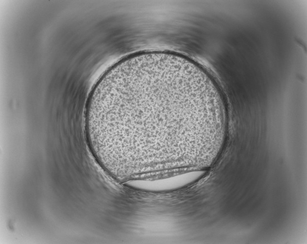 X0000099291183200805301105