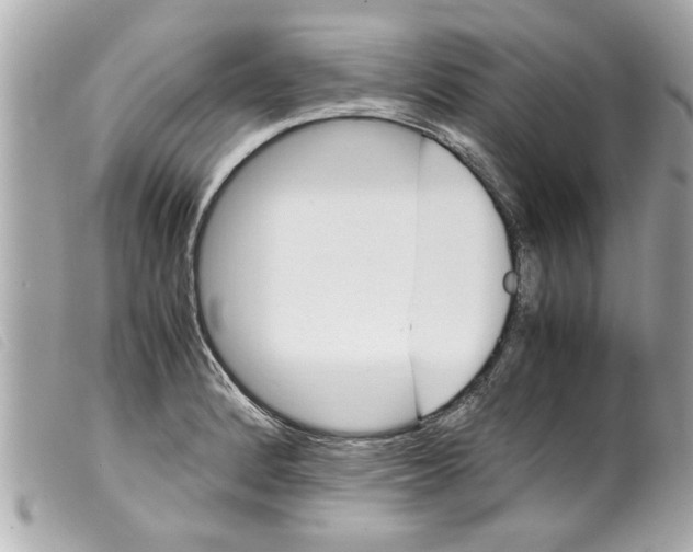 X0000099291184200805301105