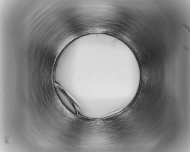 X0000099291186200805301105