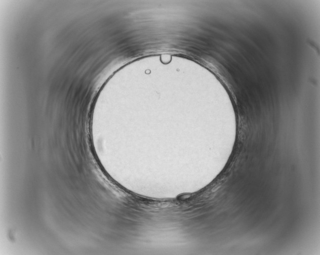 X0000099291187200805301105