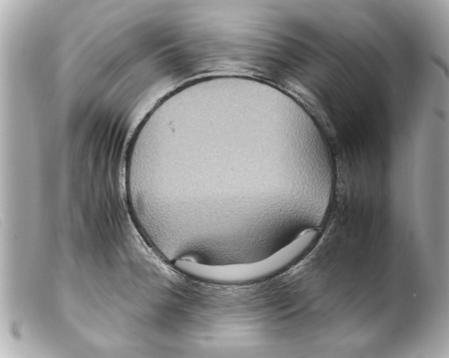 X0000099291188200805301105