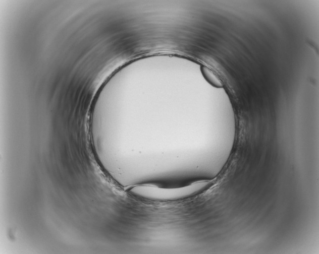 X0000099291190200805301105