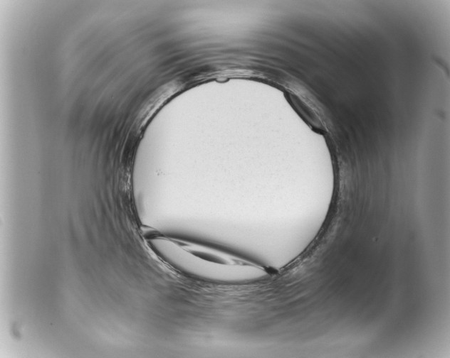 X0000099291193200805301105