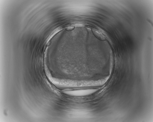 X0000099291194200805301105