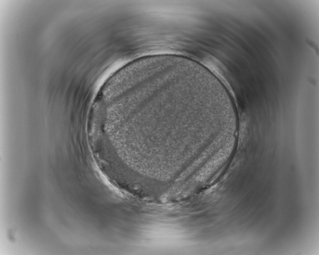 X0000099291197200805301105