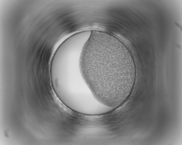 X0000099291200200805301105