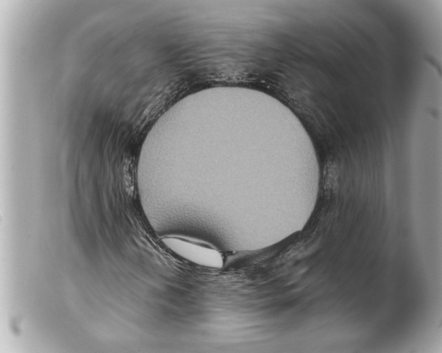 X0000099291202200805301104