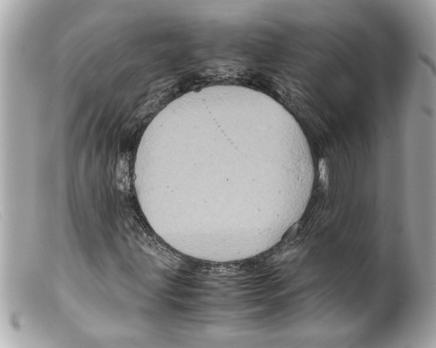 X0000099291203200805301104